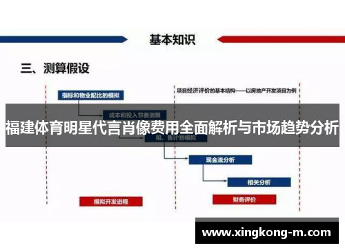 福建体育明星代言肖像费用全面解析与市场趋势分析