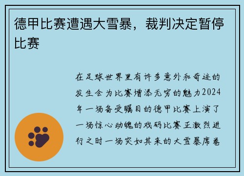 德甲比赛遭遇大雪暴，裁判决定暂停比赛